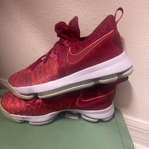 Nike Lebrons! Wore ONCE